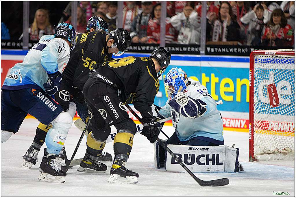 PENNY DEL;  Kölner Haie - ERC Ingolstadt; Köln, 25.11.2022